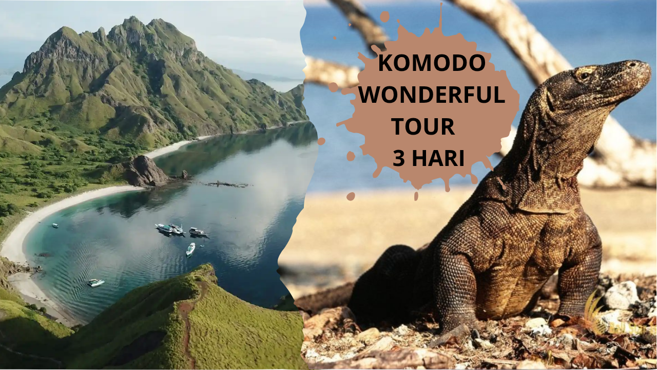  KOMODO WONDERFUL TOUR 3 HARI
