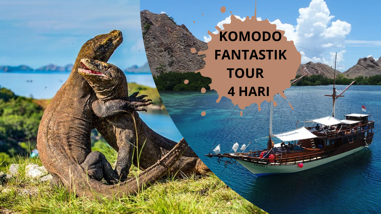KOMODO FANTASTIK TOUR 4 HARI