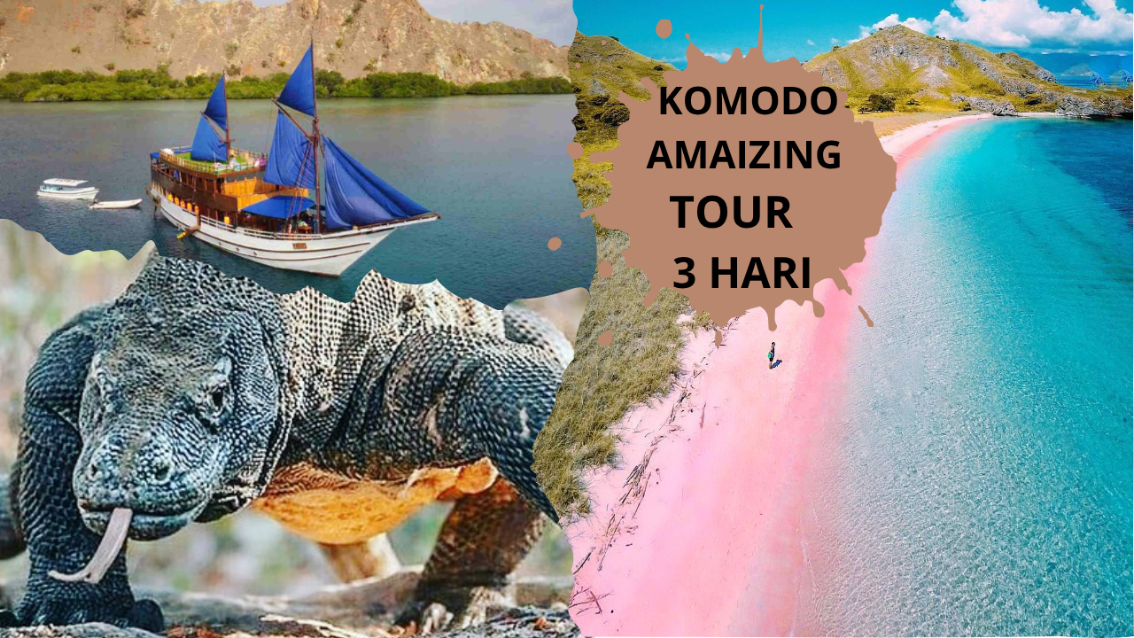 KOMODO AMIZING TRIP  3 HARI