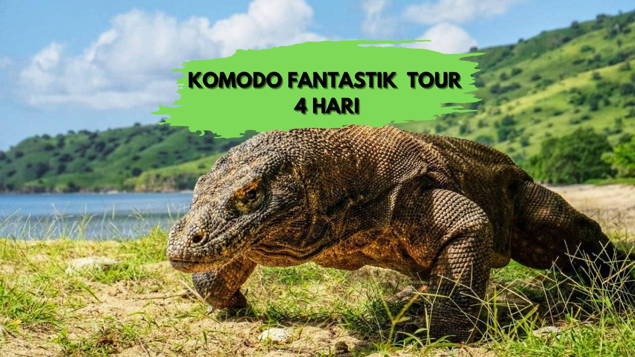 KOMODO FANTASTIK TOUR 4 HARI