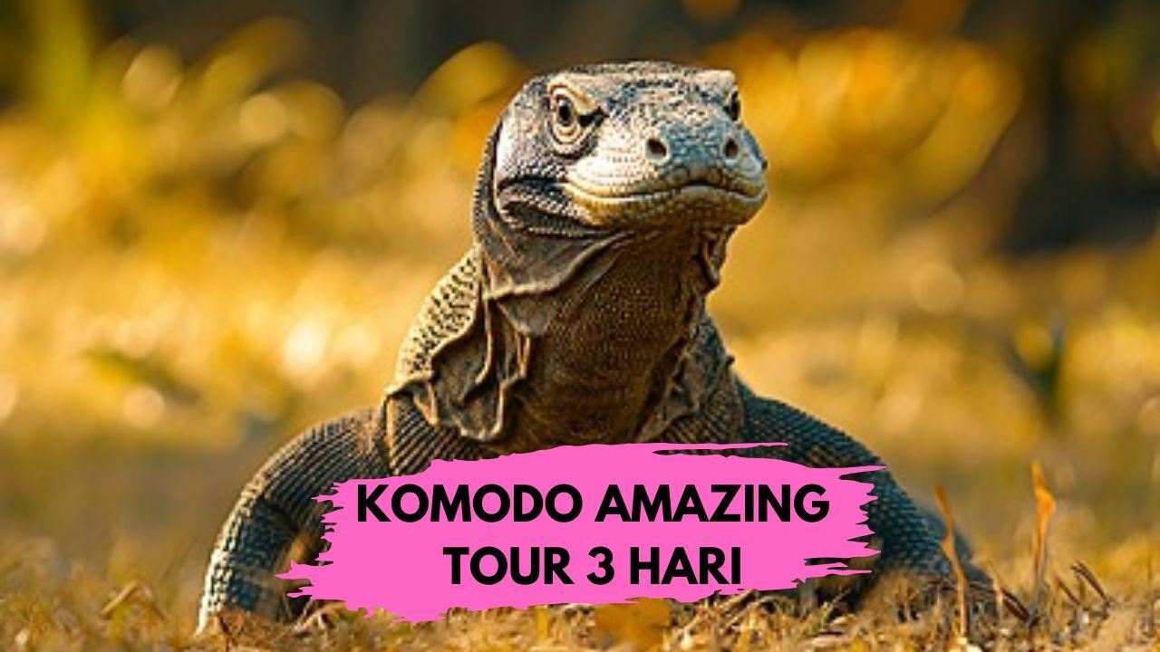 KOMODO AMAZING TRIP  3 HARI